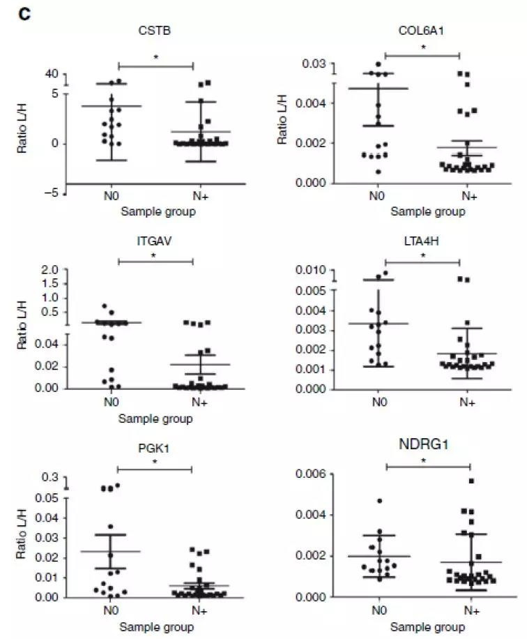 1554256100454270Hogj.jpg 5.jpg