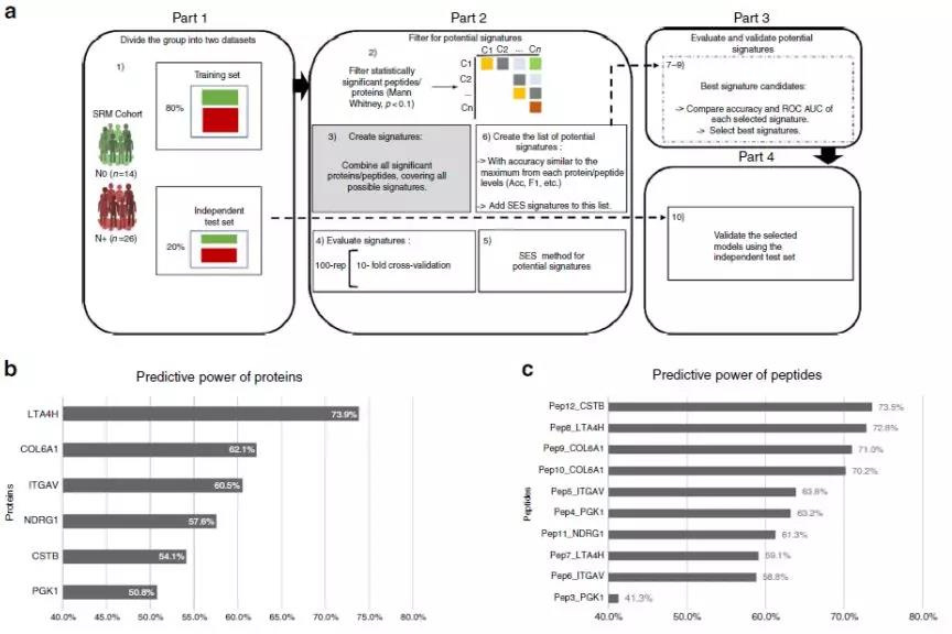 15542561083417968MEN.jpg 6.jpg