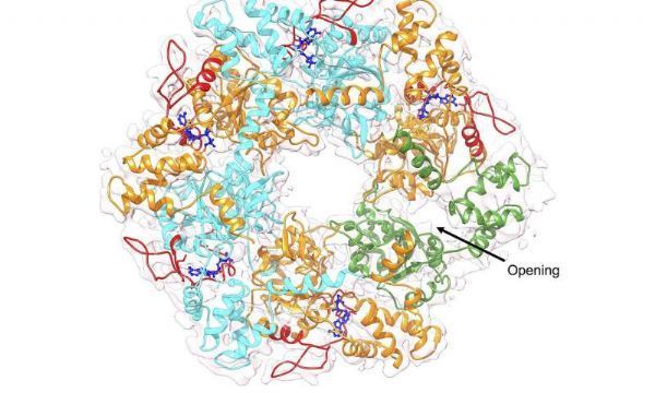 15578829322875614q78.jpg 1.jpg