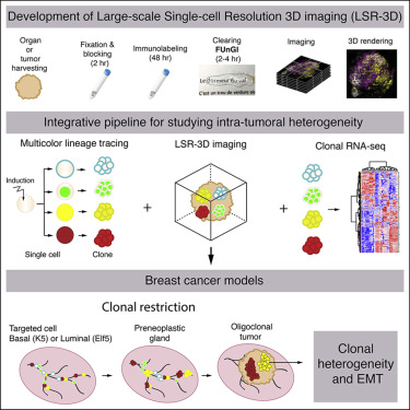 1557882939676997rf6O.jpg 2.jpg