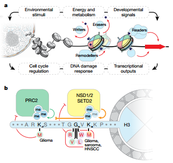 1557882945160781i2IM.png 3.png