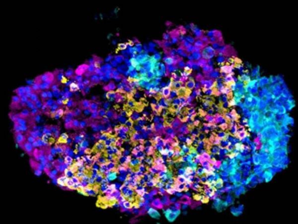 1559091766769779VKwA.jpg 3.jpg