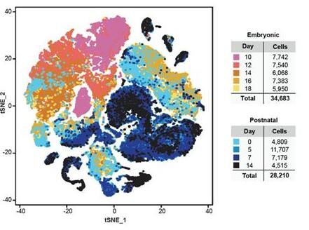 15590917778102679P1d.jpg 5.jpg