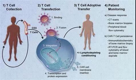 155978243860333810Q2.jpg 1.jpg