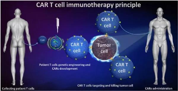 1559782445495200UgBe.jpg 2.jpg