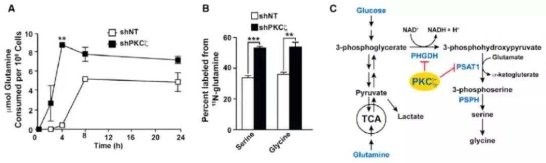 1560302668483418Tgz9.jpg 1.jpg