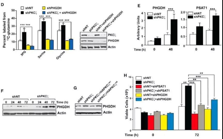 1560302674963057BuYZ.jpg 2.jpg