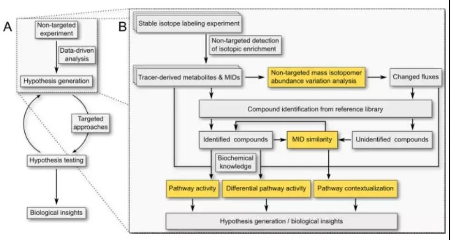 1560302690718382SBtr.jpg 3.jpg