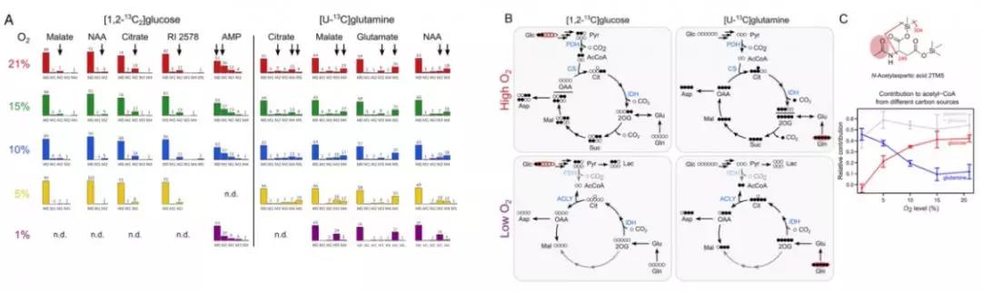 15603026983774112OLN.jpg 4.jpg