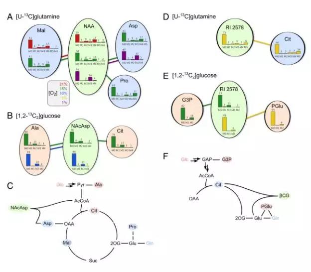 15603027057688650lBg.jpg 5.jpg