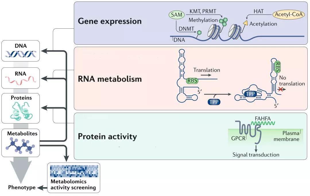 1560303002446021QSrP.jpg 1.jpg