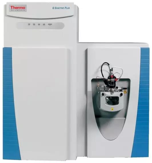 1560303019472943z3AW.jpg 3.jpg