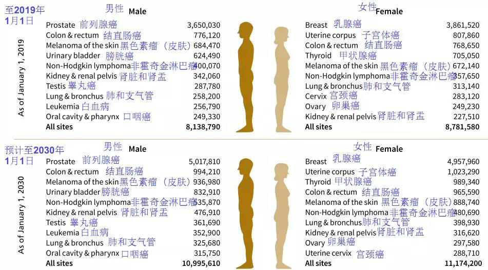 1560910902187928agze.jpg 1.jpg