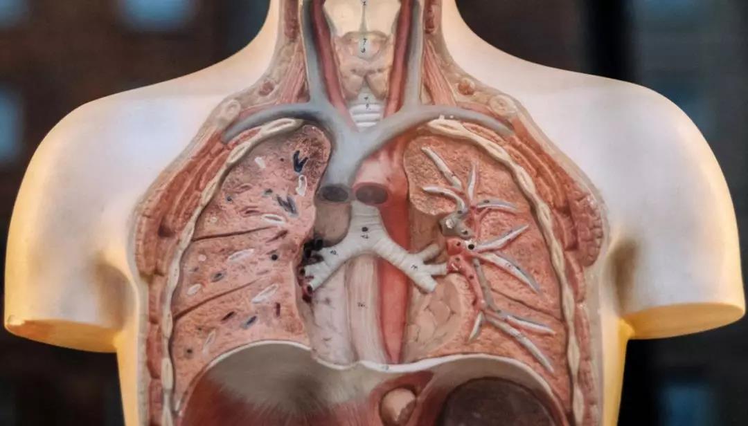 1560910919707558qG2N.jpg 4.jpg