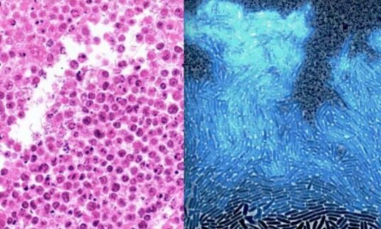 15627253096692614fJY.jpg 6.jpg