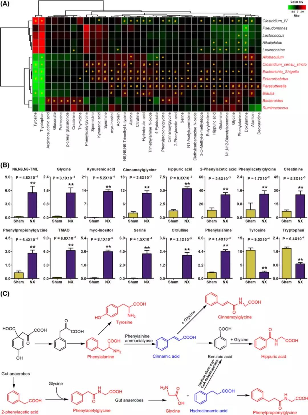 1563325686829700FKap.jpg 4.jpg