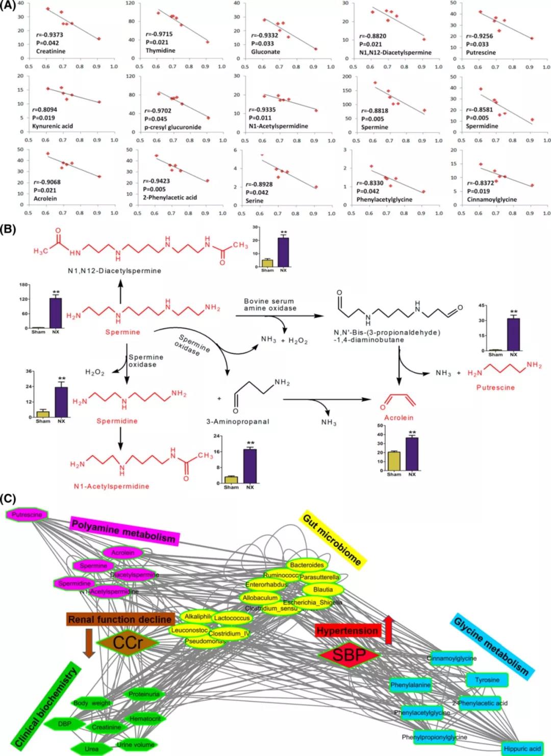 1563325691898527cSTk.jpg 5.jpg