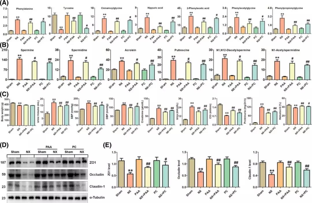 1563325696463938ZsAk.jpg 6.jpg
