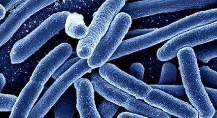 1563412403515113BlZy.jpg 1.jpg