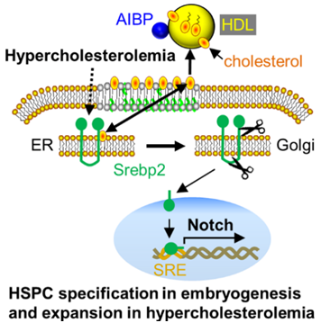 1563952335816714yDEx.png 1.png