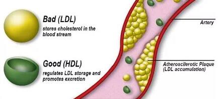 1563952340383120WjTN.jpg 2.jpg