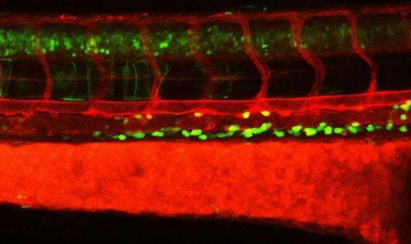 1563952346362044omCd.jpg 3.jpg