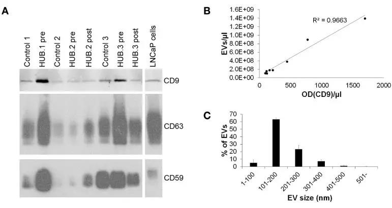 15639528677642177Old.jpg 3.jpg