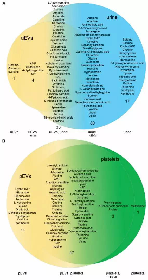 1563952879530478Zqnt.jpg 5.jpg