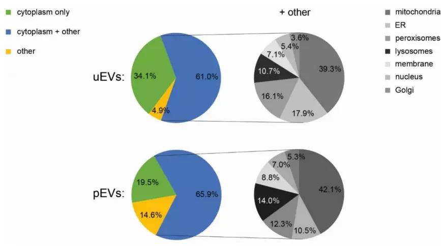 1563952887839329OTwh.jpg 6.jpg