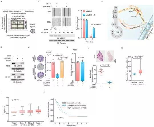 1564535662330625d4dO.jpg 4.jpg