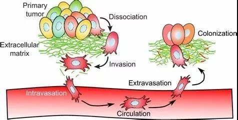 15645356744979604mcN.jpg 6.jpg