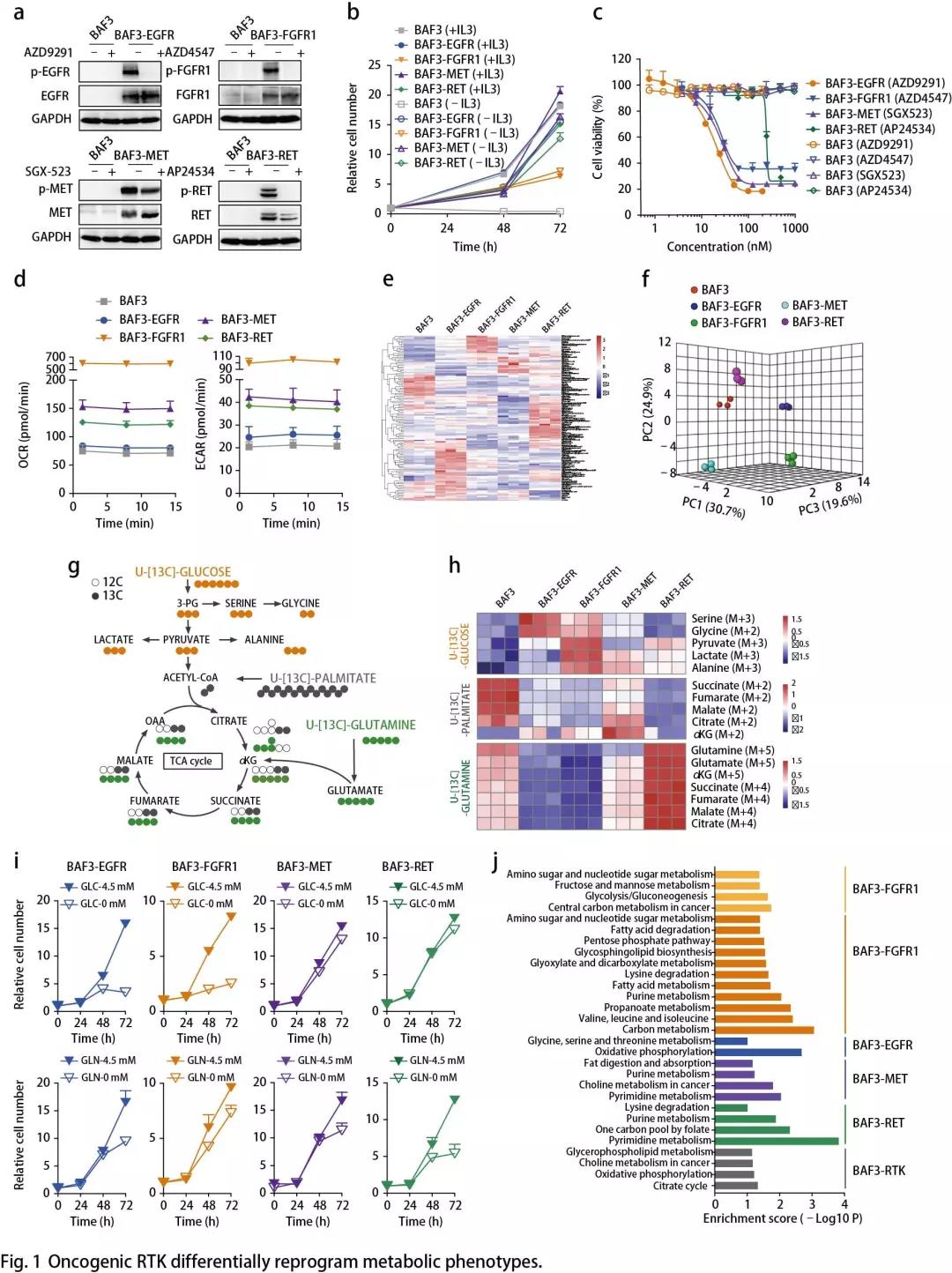 15652272297867737s1B.jpg 1.jpg