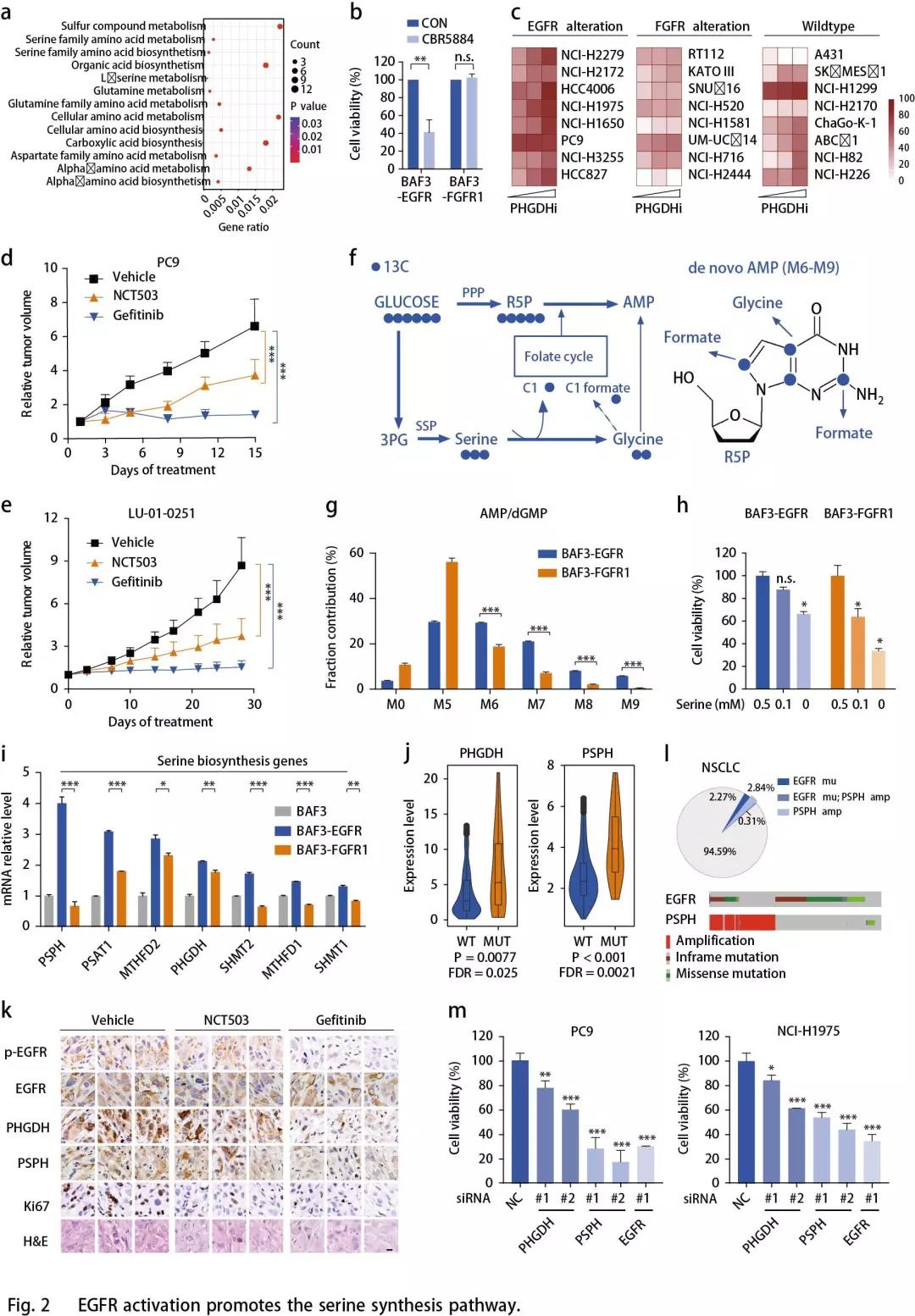 1565227238794737E9FX.jpg 2.jpg