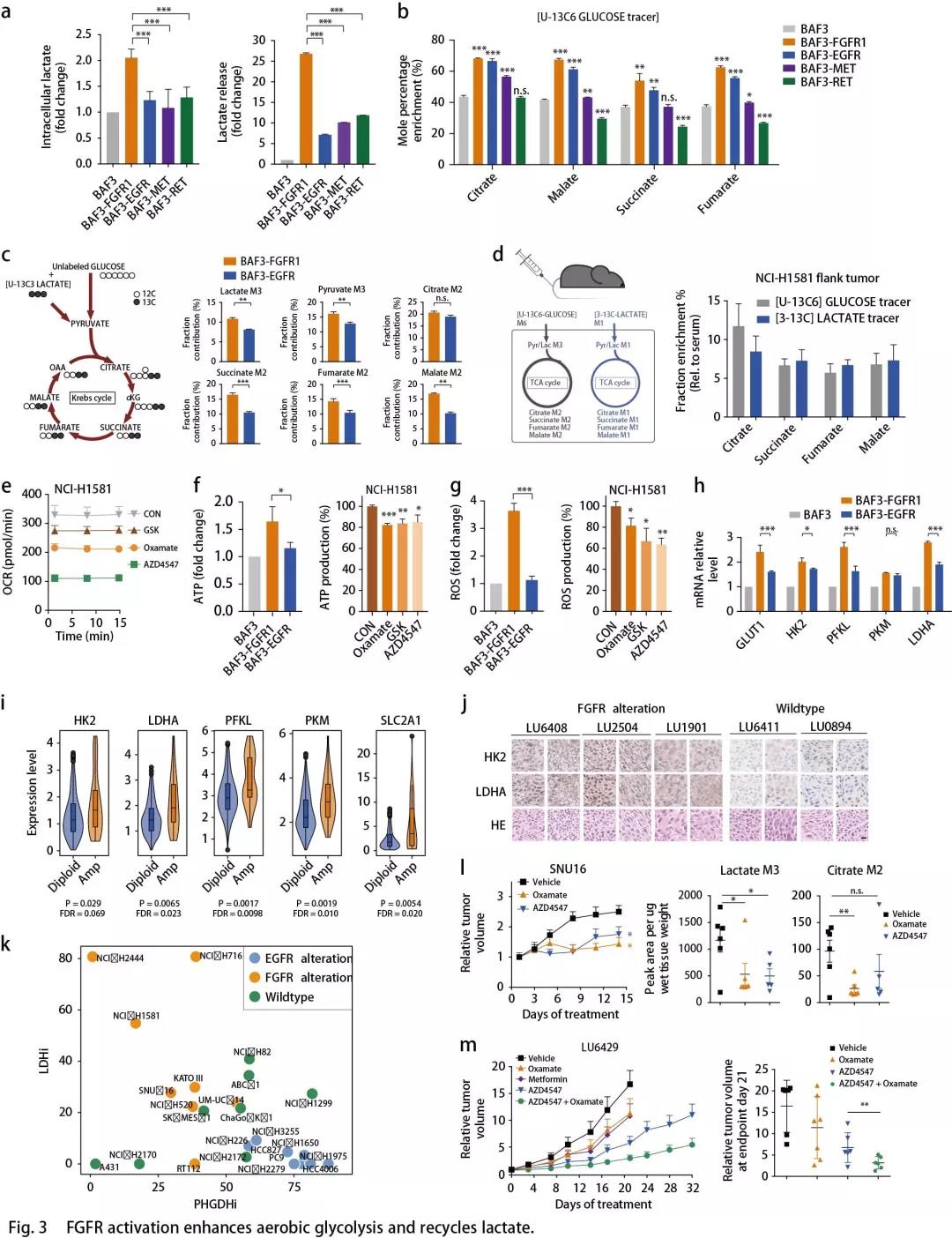 15652272562339761DXe.jpg 3.jpg