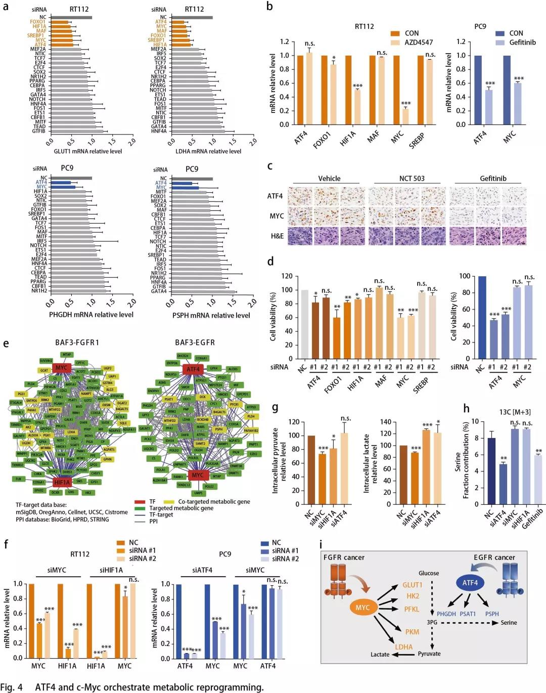 1565227265447153KUNQ.jpg 4.jpg