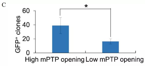 1565744879226171wzRT.jpg 3.jpg