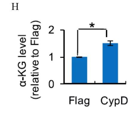 1565744907786518BHJh.jpg 6.jpg