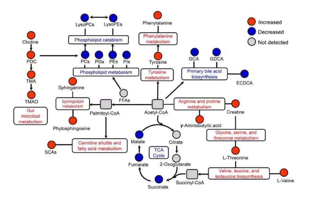 1566350705732780XD59.jpg 5.jpg