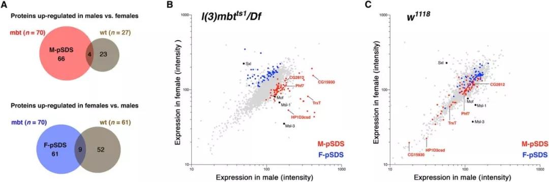 1567560034189061VSMo.jpg 2.jpg
