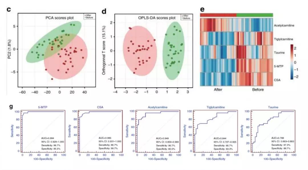 15688574824620438ODK.jpg 4.jpg