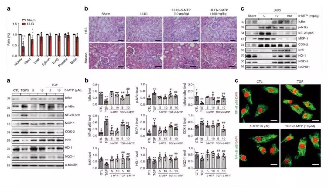 1568857506875093Zn4W.jpg 6.jpg