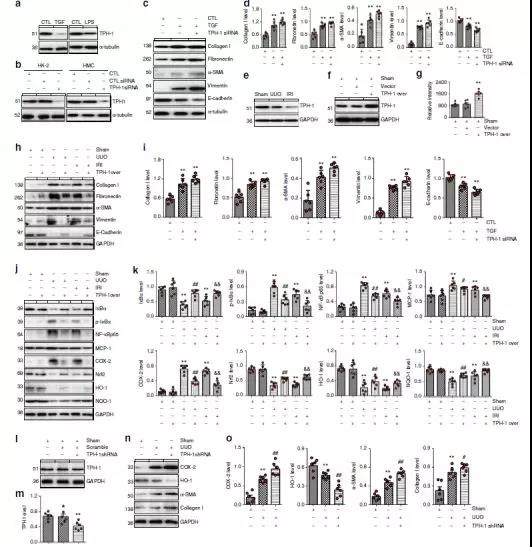 1568857516996605pAyx.jpg 7.jpg