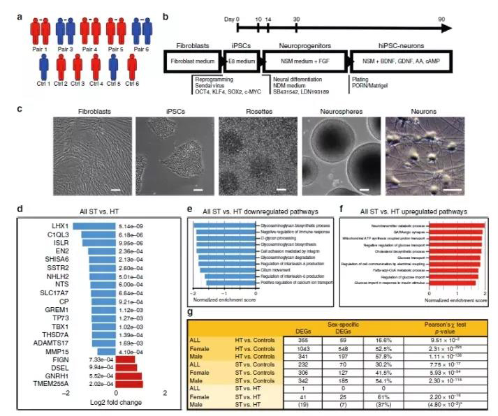 1568857926862939gpem.jpg 2.jpg