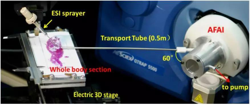 15693744223198298zbv.jpg 2.jpg