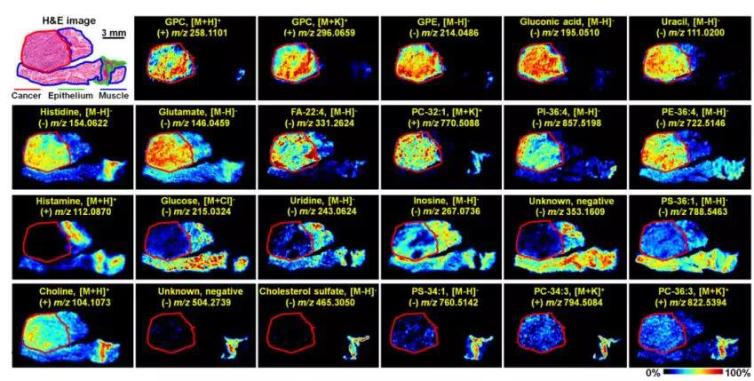 1569374442800531J4VW.jpg 4.jpg