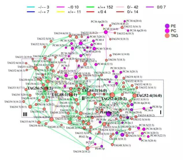 1571797197853153c5ZD.jpg 8.jpg