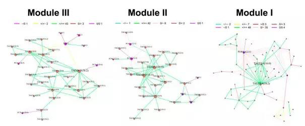 1571797202924656jKwO.jpg 9.jpg