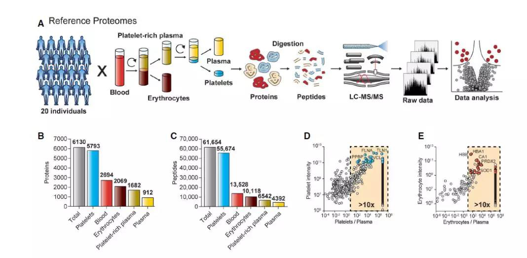 157179732431706347hp.jpg 2.jpg