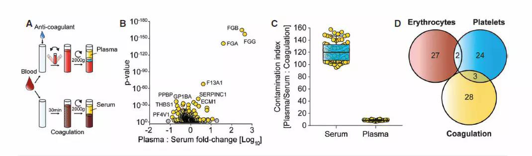 1571797335858723wqRd.jpg 4.jpg