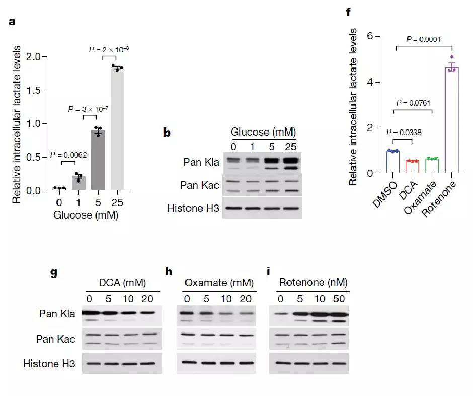 1572400281214047IqdY.jpg 4.jpg